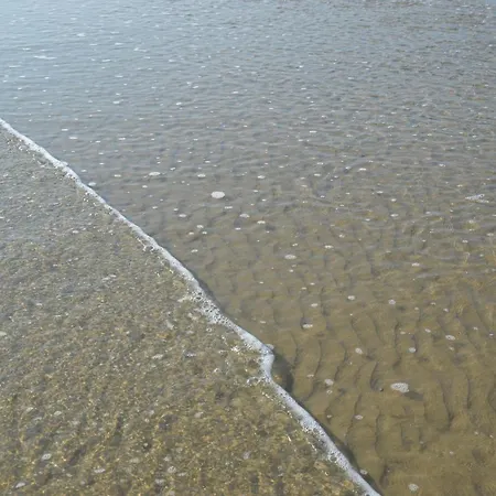 Pineta 32 Bilocale Al Mare Con Servizio Spiaggia Apartamento *